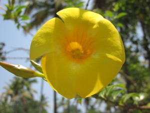IMG_0710